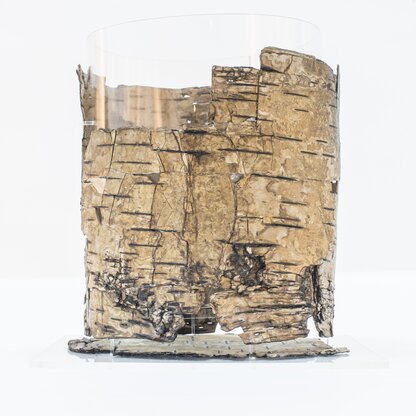 Birch-bark container | © © South Tyrol Museum of Archaeology / Harald Wisthaler